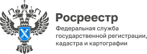 Деятельность Молодежного совета Управления Росреестра по Алтайскому краю.