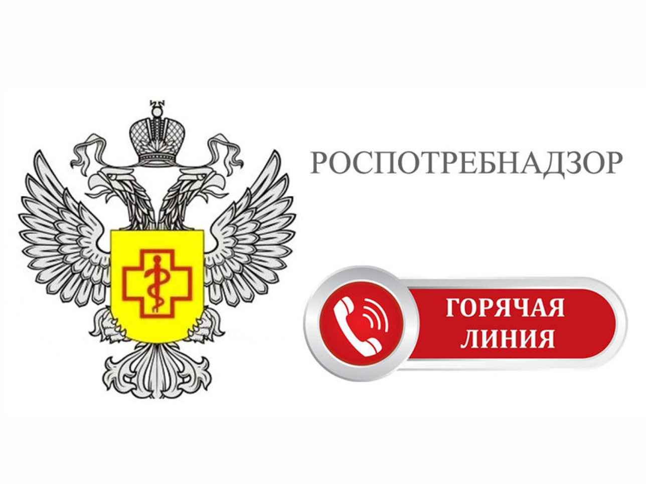 Горячая линия по вопросам защиты прав потребителей.
