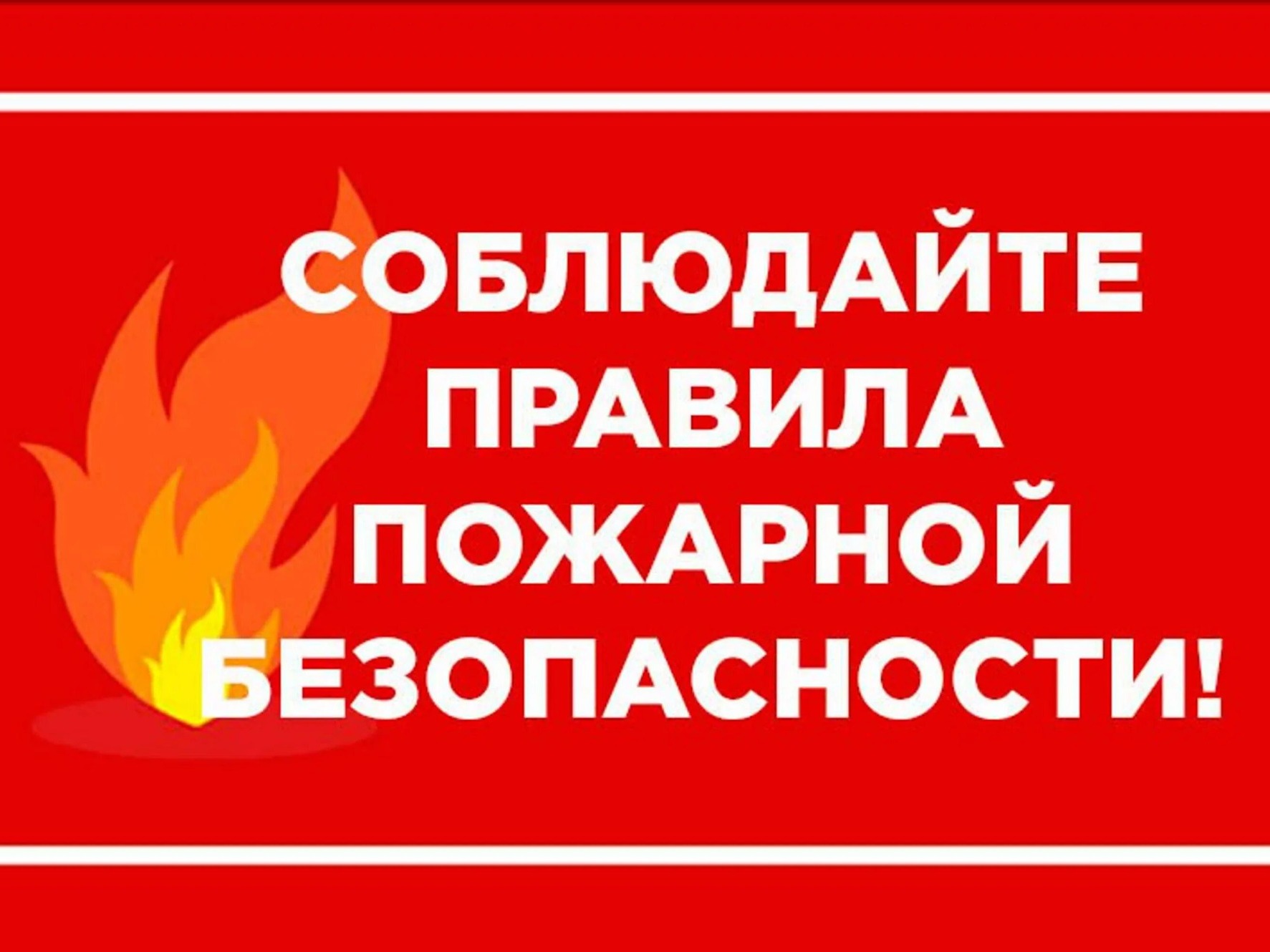 1 сентября 2026 г. обновляются правила пожарной безопасности в лесах..