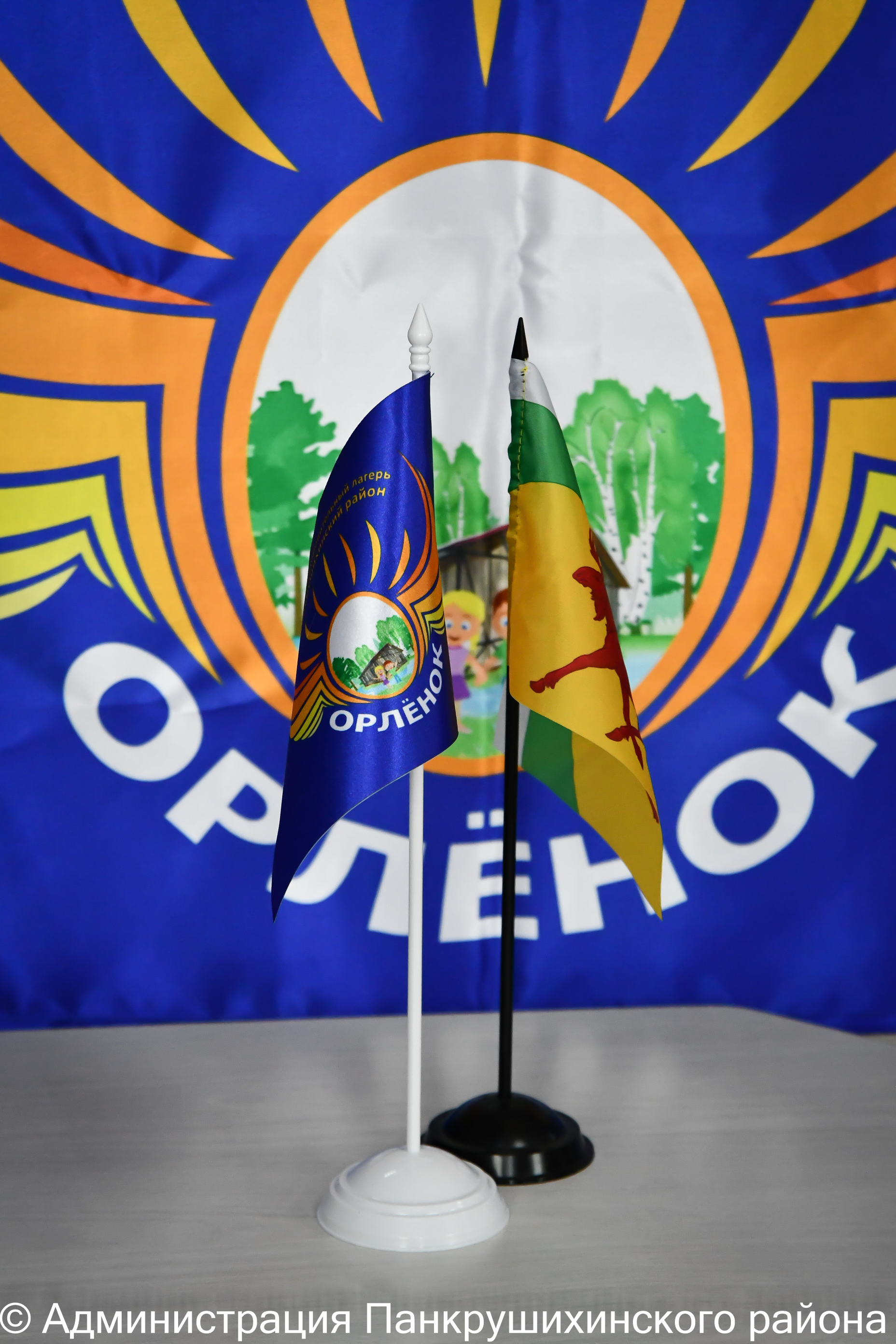 Поддержите проект ДОЛ "Орлёнок"!.